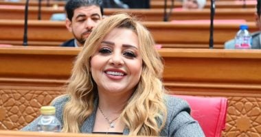 عضو بخارجية النواب: مشاركة الرئيس السيسي فى قمة السبع تؤكد مكانة مصر الدولية