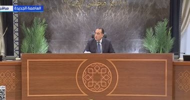 مدبولي: تنفيذ قرارات إعادة هيكلة الهيئات الاقتصادية الشهر الجارى
