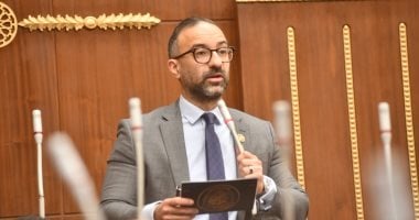 لحين صدور قانون الأسرة.. “الحمامصى” يطالب بزيادة الرؤية إلى 6 ساعات