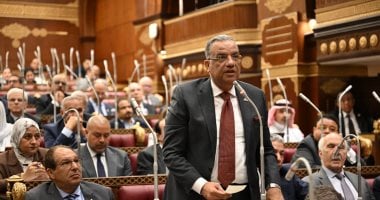 «الجبهة الوطنية» يوافق على خطة التنمية للعام المالى الجديد ويطالب بخطة للصادرات
