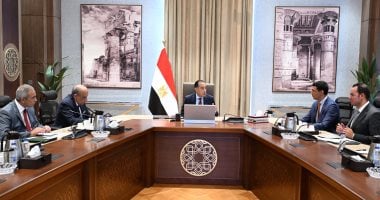 مدبولي يكلف بعرض الصورة النهائية لمبادرة تشجيع تركيب ألواح الطاقة الشمسية