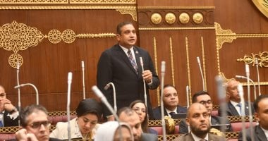 النائب عماد خليل: خطة التنمية الاقتصادية والاجتماعية وضعت فى ظروف جيوسياسية صعبة
