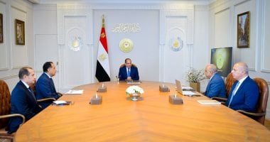 وزير الكهرباء يستعرض أمام الرئيس أكبر مشروعات الطاقة النظيفة
