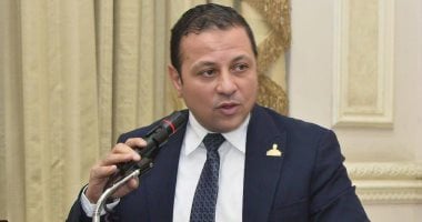 نائب: قمة مجموعة السبع تؤكد أهمية الدور المصرى فى مواجهة التحديات الدولية