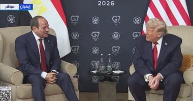 الرئيس السيسى: تسوية القضية الفلسطينية أساسى لتحقيق السلام الدائم والاستقرار بالمنطقة