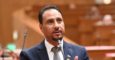برلمانى: قمة الرئيس السيسى وترامب تؤكد عمق العلاقات المصرية الأمريكية