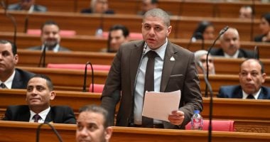 برلماني: الرئيس السيسي قدم رؤية متكاملة لمعالجة الأزمات الجيوسياسية