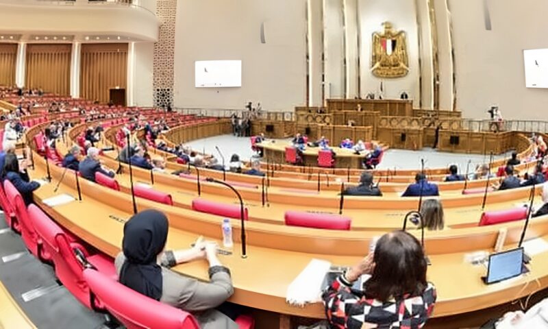 ننفرد بتشكيل هيئات مكاتب اللجان النوعية بمجلس النواب