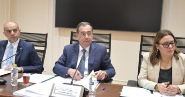 “ناتجاس” أمام “النواب”: تقدم كبير فى توصيل الغاز الطبيعي بالبحيرة