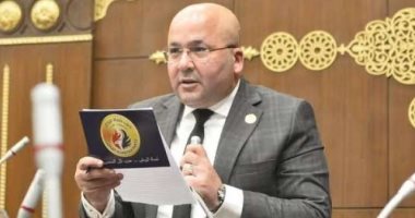 نائب: زيارة محمد بن زايد للقاهرة تؤكد قوة التحالف المصري الإماراتي ووحدة الرؤى