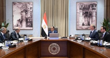 رئيس الوزراء يتابع ملفات عمل مشتركة بين وزارتي الطيران المدني والبترول