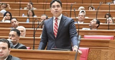 ضياء الدين داود: أوافق على قانون مستقبل مصر بعد تعديله