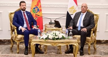 رئيس مجلس النواب يُشيد بمواقف الجبل الأسود الداعمة للقضية الفلسطينية