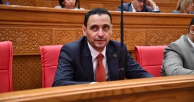 نائب: مؤتمر المصريين بالخارج نافذة مهمة لدعم التواصل مع الطيور المهاجرة
