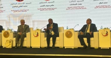 خارجية الشيوخ: المرحلة المقبلة تتطلب الاستفادة من خبرات أبناء مصر في الخارج