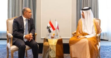 مصر وقطر تؤكدان أهمية الحفاظ على أمن الطاقة وحرية الملاحة في هرمز