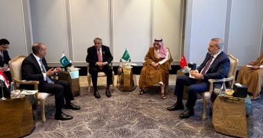 وزير الخارجية يبحث مع وزراء R4 مستجدات الأوضاع الإقليمية وخفض التصعيد