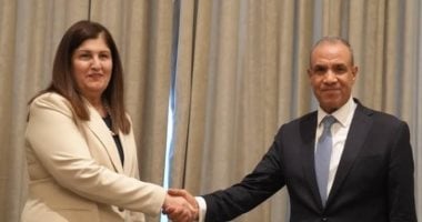 وزير الخارجية يؤكد رفض مصر الكامل لإجراءات إسرائيل غير القانونية بالأراضى المحتلة