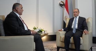 وزير الخارجية يستعرض جهود مصر الرامية لخفض التصعيد ودعم الأمن والاستقرار