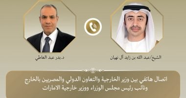وزيرا خارجية مصر والإمارات يؤكدان أهمية وصون أمن وسلامة وحرية الملاحة الدولية