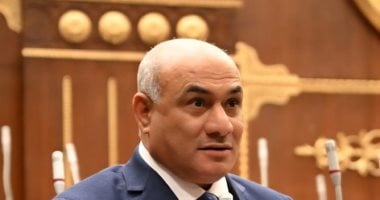 برلمانى: المنصة الوطنية للشباب تعزز المشاركة وتمنح أصحاب الأفكار فرصة حقيقية