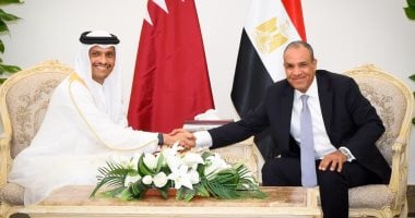 وزير الخارجية يبحث مع رئيس وزراء قطر تطورات “علم الروم” والعلاقات الثنائية