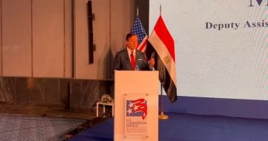 مسئول أمريكى: مصر على رأس قائمة دول نسعى لتعزيز الشراكة معها.. فيديو  مش خاص