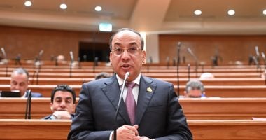 نائب: الحضور المصرى ف الإقليم نتيجة سياسة تقوم على الحوار والتوازن