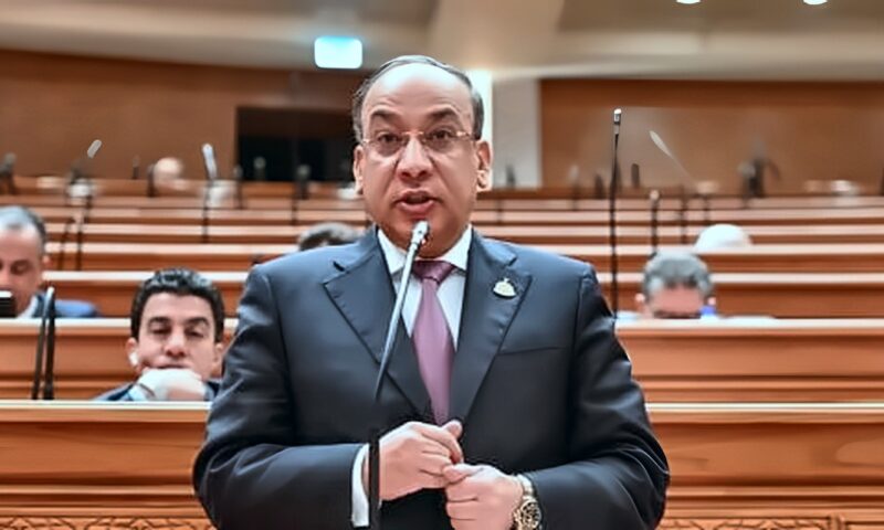 دينية النواب: الوعى الرقمى خط الدفاع الأول ضد الأخبار المضللة