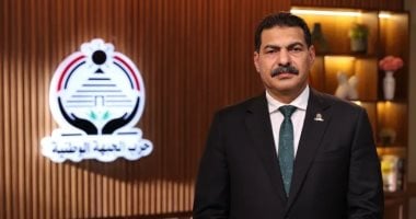 النائب ياسر الحفناوى يطالب بربط بيانات عدادات الكهرباء بمنظومة إلكترونية