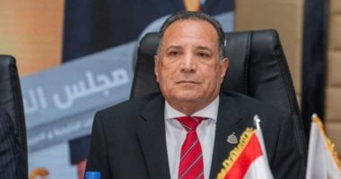 رئيس “الشئون العربية بالنواب”: الوعي ركيزة أساسية وحائط صد لحماية استقرار مصر