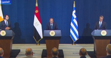 نائب: رؤية الرئيس السيسى تعزز فرص التكامل فى قطاع الطاقة بشرق المتوسط