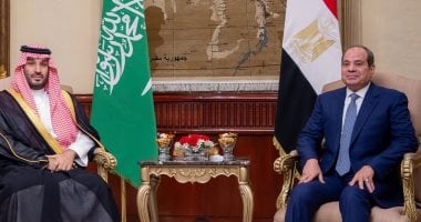 وكيل اتصالات النواب: التنسيق المصري السعودي ركيزة أساسية لمواجهة تحديات المنطقة