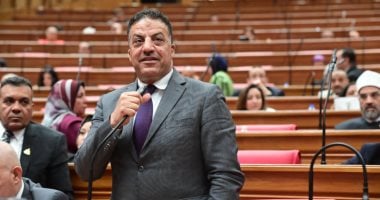 عضو محلية النواب: القاهرة والرياض جناحا الأمة.. وزيارة بن سلمان تعكس مصيرًا مشتركًا