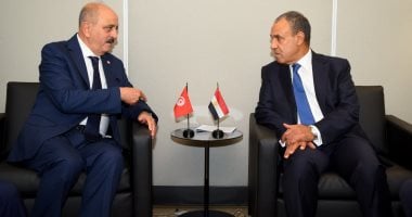 وزير الخارجية يبحث مع نظيره التونسي تطورات الأوضاع في ليبيا وغزة والسودان