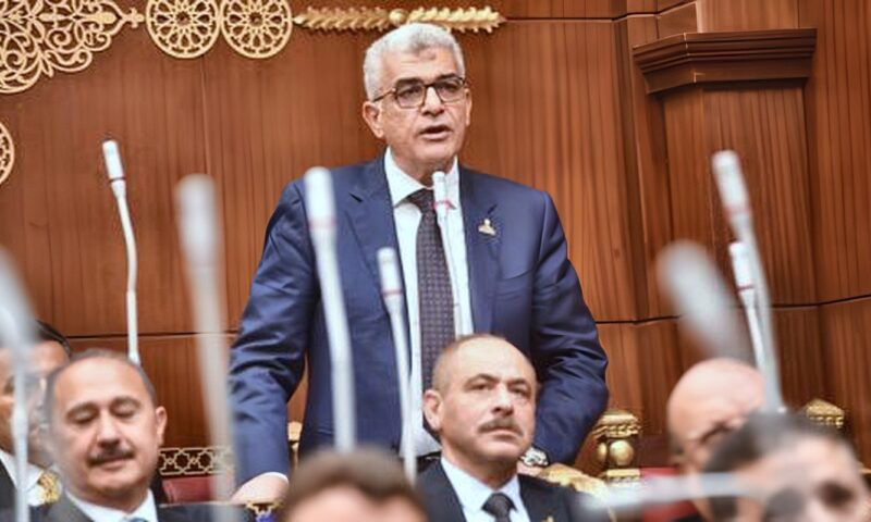 برلماني: إعلان العلمين فضح زيف الادعاءات الإثيوبية بشأن النيل