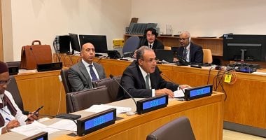وزير الخارجية يشارك فى الاجتماع الوزارى لمنظمة التعاون الإسلامى