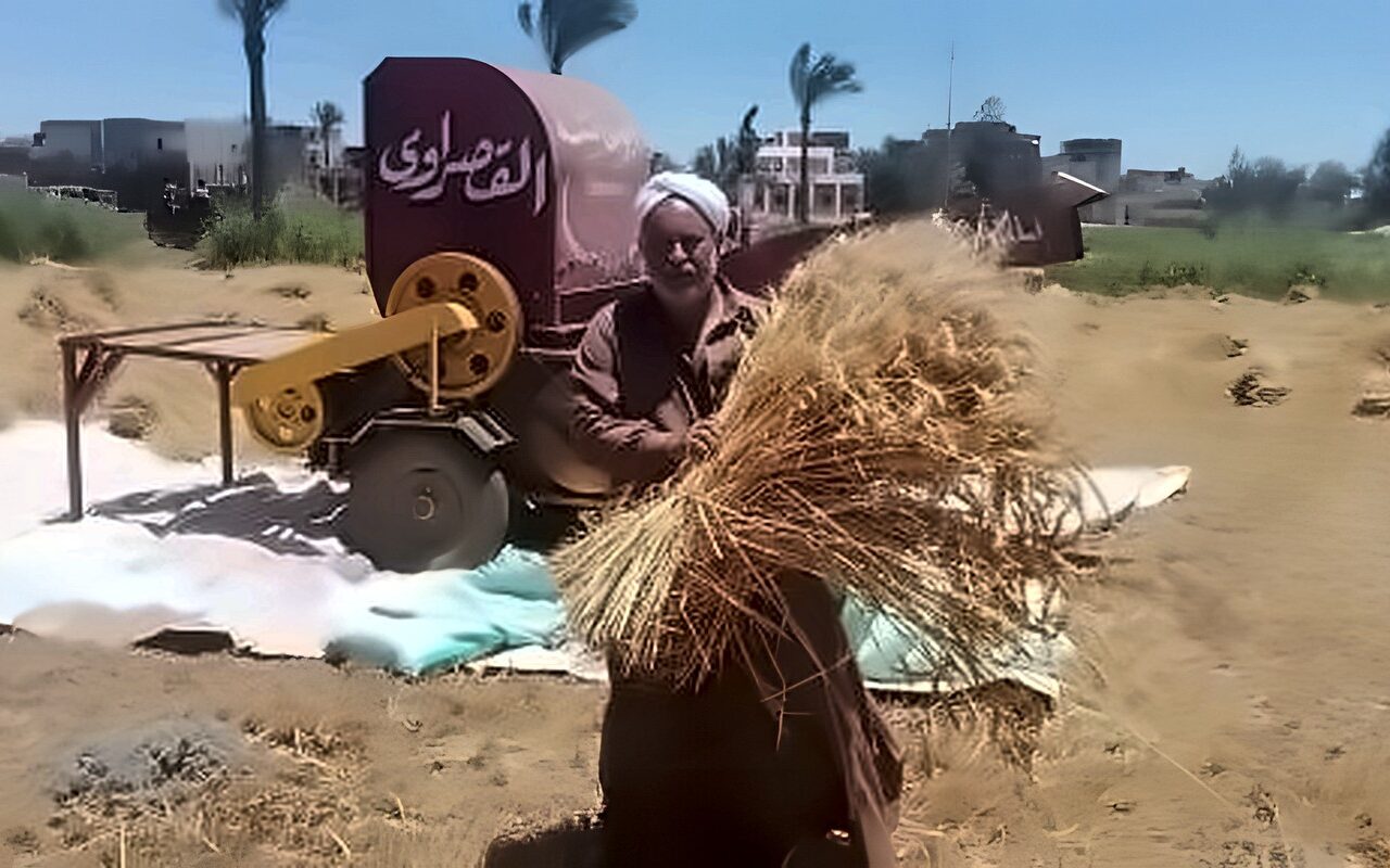 الاكتفاء الذاتى ودعم الفلاح وزيادة الصادرات.. أبرز 3 ملفات على مائدة زراعة النواب