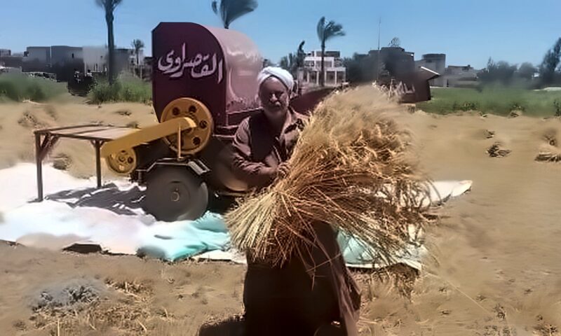 الاكتفاء الذاتى ودعم الفلاح وزيادة الصادرات.. أبرز 3 ملفات على مائدة زراعة النواب