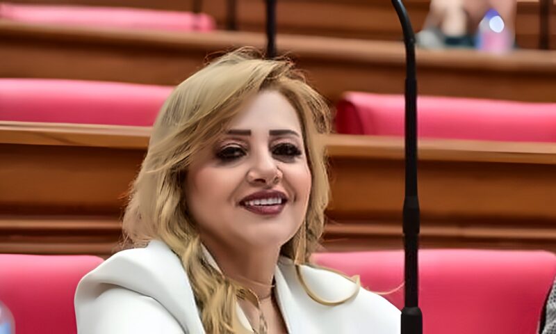 هبة غالى: استضافة العلمين للفعاليات الأفريقية تؤكد ثقل مصر القارى