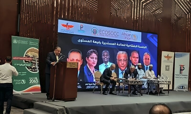 أيمن عقيل: يجب تخفيف أعباء الديون عن أفريقيا وتحقيق العدالة التعويضية