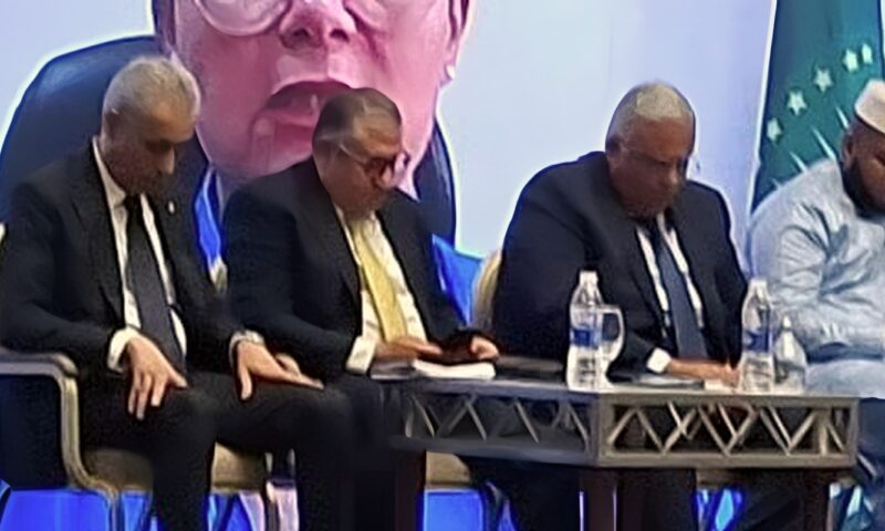 رئيس حقوق الإنسان: نجاح أجندة أفريقيا 2063 يعتمد على تحقيق التنمية