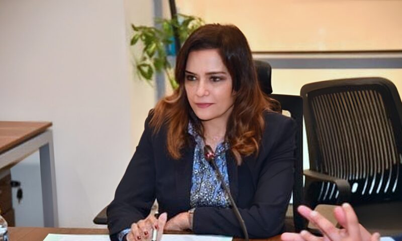 بعد رئاستها لـ سياحة النواب.. سحر طلعت مصطفى تحدد 5 ملفات على طاولة اللجنة