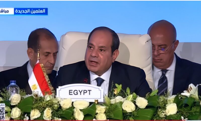 الرئيس السيسى يؤكد أهمية التفعيل الكامل لمنطقة التجارة الحرة القارية الأفريقية