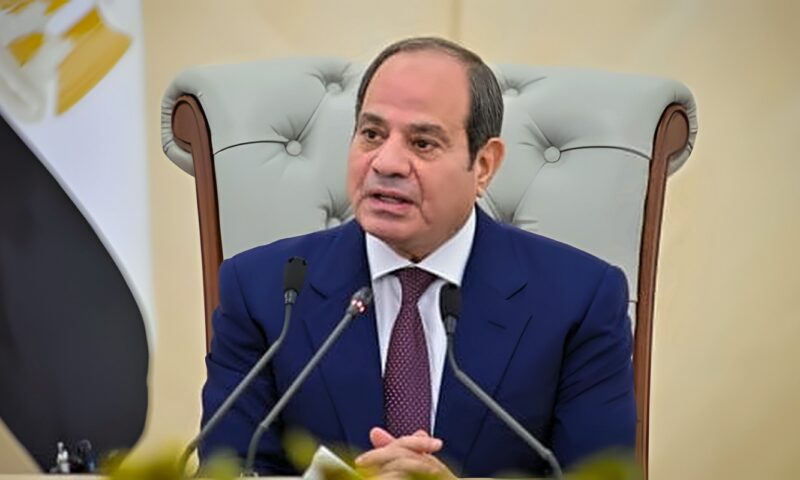 الرئيس السيسى: إقامة الدولة الفلسطينية المستقلة تظل الضمانة الوحيدة لتحقيق السلام العادل والدائم
