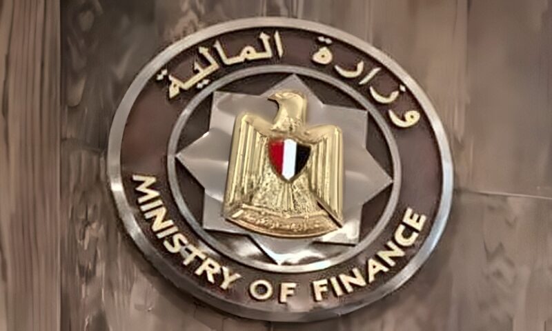 13 حالة تعد تهريبًا وفق قانون الجمارك.. تعرف عليها