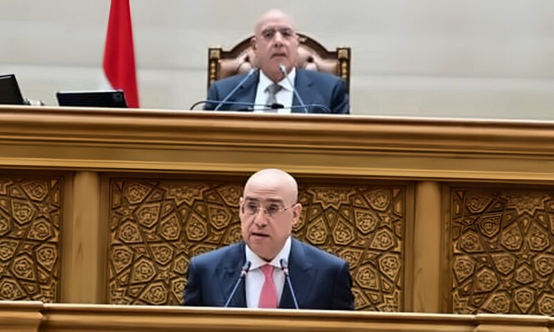 وكيل النواب: تشكيل لجنة خاصة لنظر تعديل المادة 25 بقانون جامعة كيان