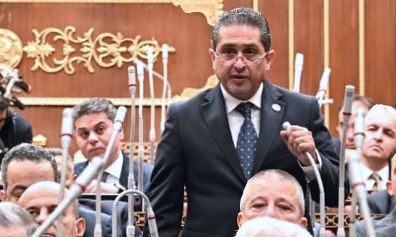 إيهاب وهبة رئيسا للهيئة البرلمانية للشعب الجمهوري بالشيوخ وكريم سالم نائبا