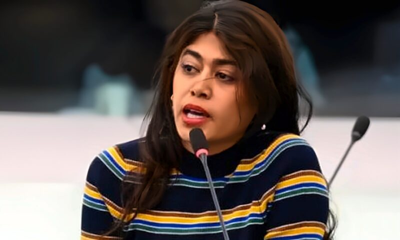 تهديد مسلح لـ نائبة فرنسية من أصول فلسطينية بسبب علم إسرائيل