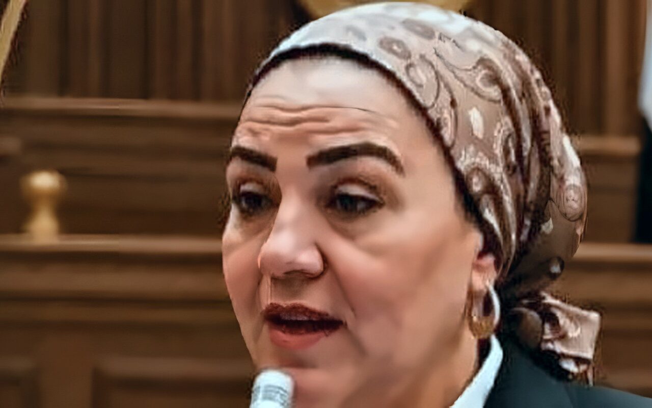 داليا الأتربي: جولة الرئيس الآسيوية تفتح آفاقًا جديدة للشراكة الاقتصادية